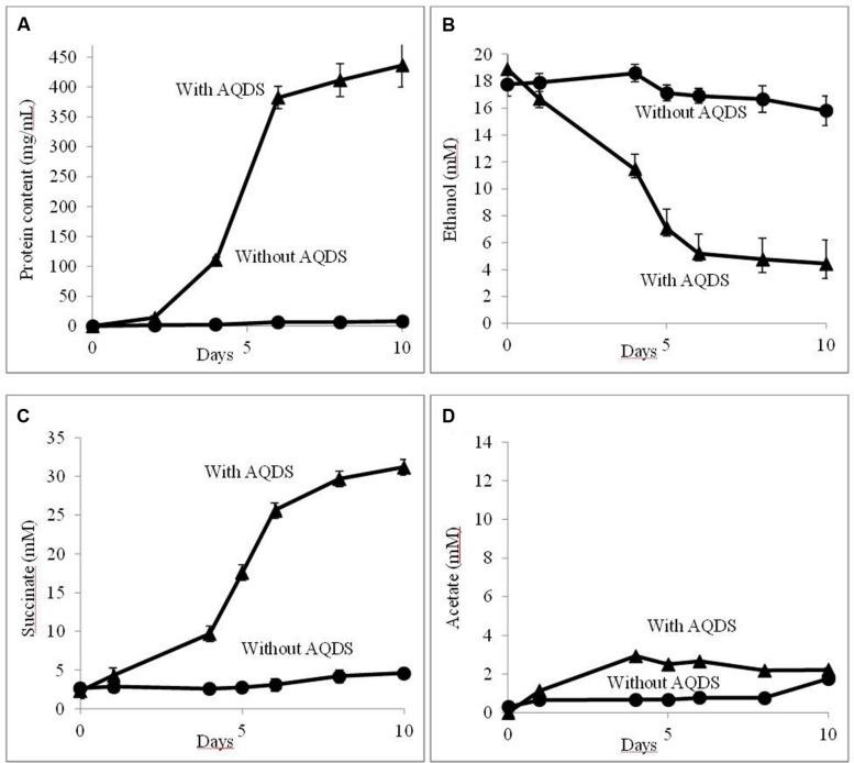 https://cdn.ncbi.nlm.nih.gov/pmc/blobs/0eda/4330893/349a51b35eba/fmicb-06-00121-g001.jpg
