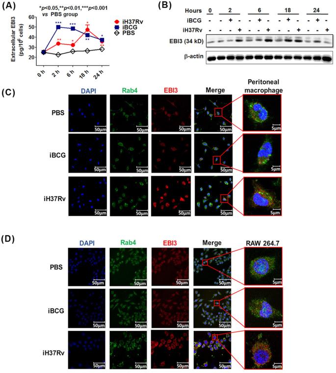 https://cdn.ncbi.nlm.nih.gov/pmc/blobs/0eda/6414311/a8d6491842bf/ftz007fig2.jpg