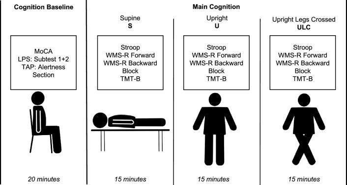 https://cdn.ncbi.nlm.nih.gov/pmc/blobs/0edc/10439038/e80efdb4965d/10286_2023_950_Fig2_HTML.jpg