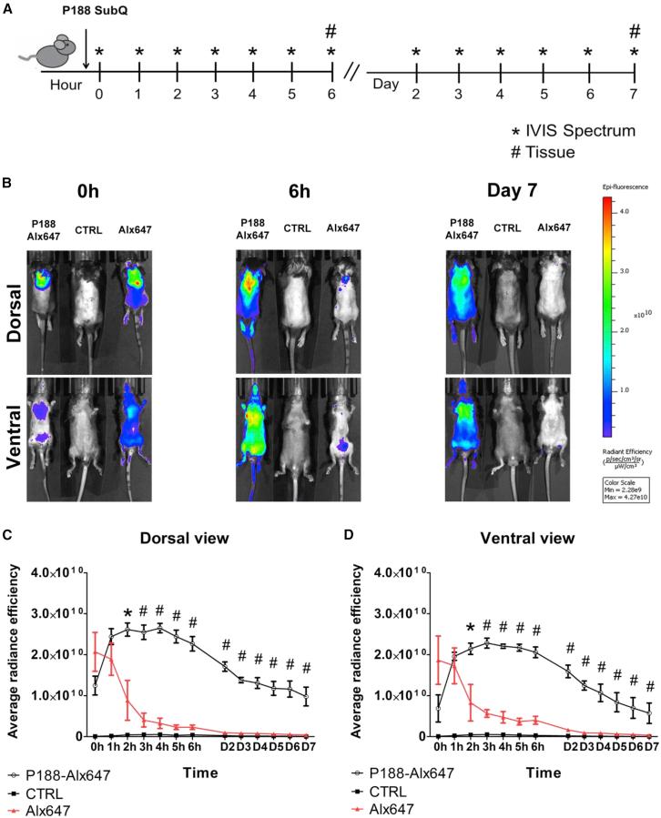 https://cdn.ncbi.nlm.nih.gov/pmc/blobs/0ee4/9829555/b04d1fb48ffe/gr3.jpg