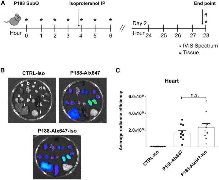 https://cdn.ncbi.nlm.nih.gov/pmc/blobs/0ee4/9829555/c254d749c4dc/gr8.jpg