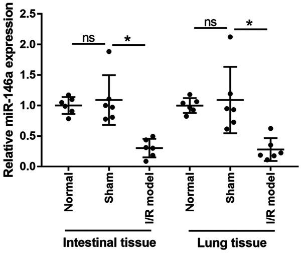 https://cdn.ncbi.nlm.nih.gov/pmc/blobs/0ee5/8290461/5931d231964a/etm-22-03-10369-g00.jpg