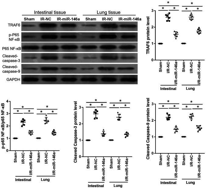 https://cdn.ncbi.nlm.nih.gov/pmc/blobs/0ee5/8290461/6ae79a7e4f85/etm-22-03-10369-g05.jpg