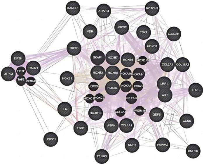 https://cdn.ncbi.nlm.nih.gov/pmc/blobs/0ee7/11327038/0cbea4371640/fgene-15-1413500-g001.jpg