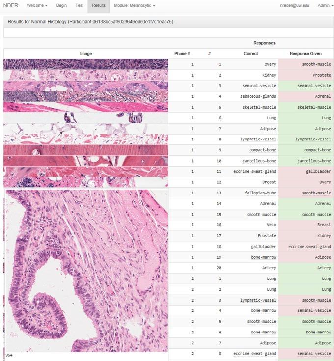 https://cdn.ncbi.nlm.nih.gov/pmc/blobs/0ee8/5497922/1f210e3718e0/10.1177_2374289517691061-fig1.jpg