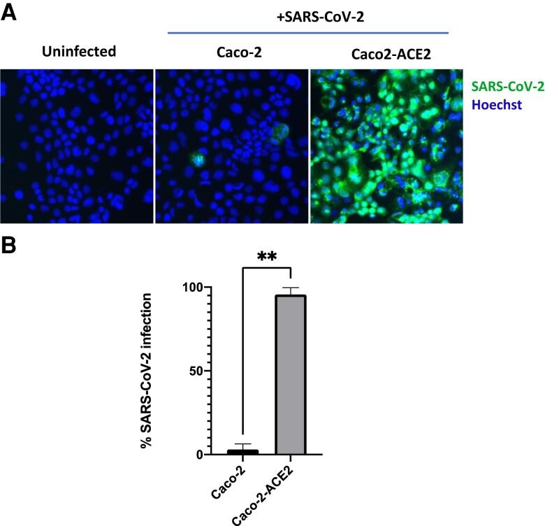 https://cdn.ncbi.nlm.nih.gov/pmc/blobs/0ee9/9927080/cfac544785a0/jiac452f3.jpg
