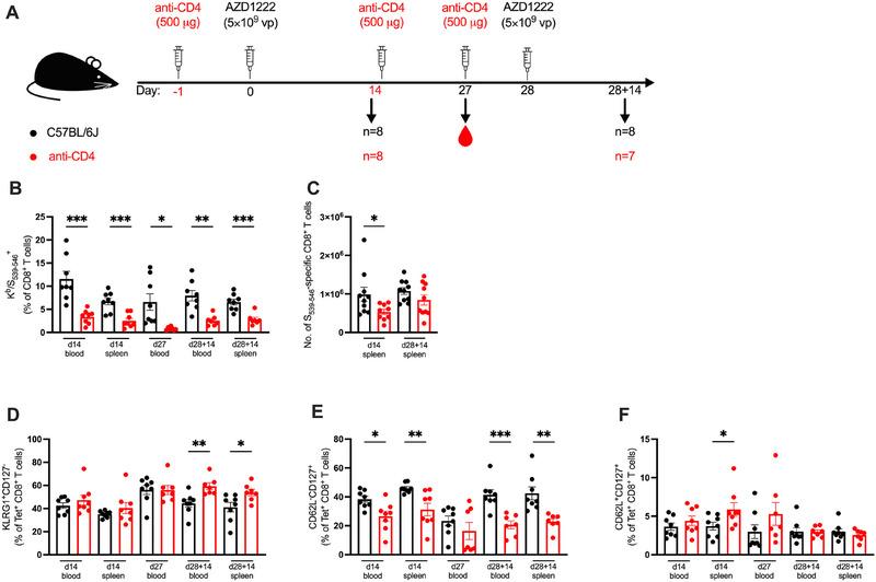 https://cdn.ncbi.nlm.nih.gov/pmc/blobs/0eeb/11739681/2fb6dd970e83/EJI-55-e202451142-g008.jpg