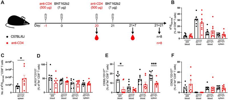 https://cdn.ncbi.nlm.nih.gov/pmc/blobs/0eeb/11739681/979ffe858866/EJI-55-e202451142-g003.jpg