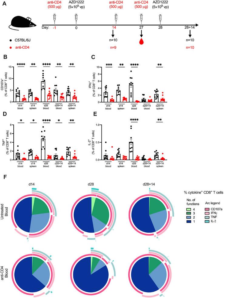 https://cdn.ncbi.nlm.nih.gov/pmc/blobs/0eeb/11739681/d49dac3540cd/EJI-55-e202451142-g005.jpg