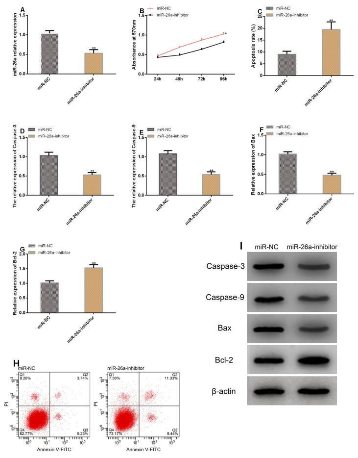https://cdn.ncbi.nlm.nih.gov/pmc/blobs/0eee/8185263/f1bae86b1393/JMNI-21-298-g003.jpg