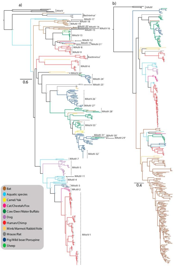 https://cdn.ncbi.nlm.nih.gov/pmc/blobs/0eef/5454415/11bcc69814ff/viruses-09-00102-g001.jpg