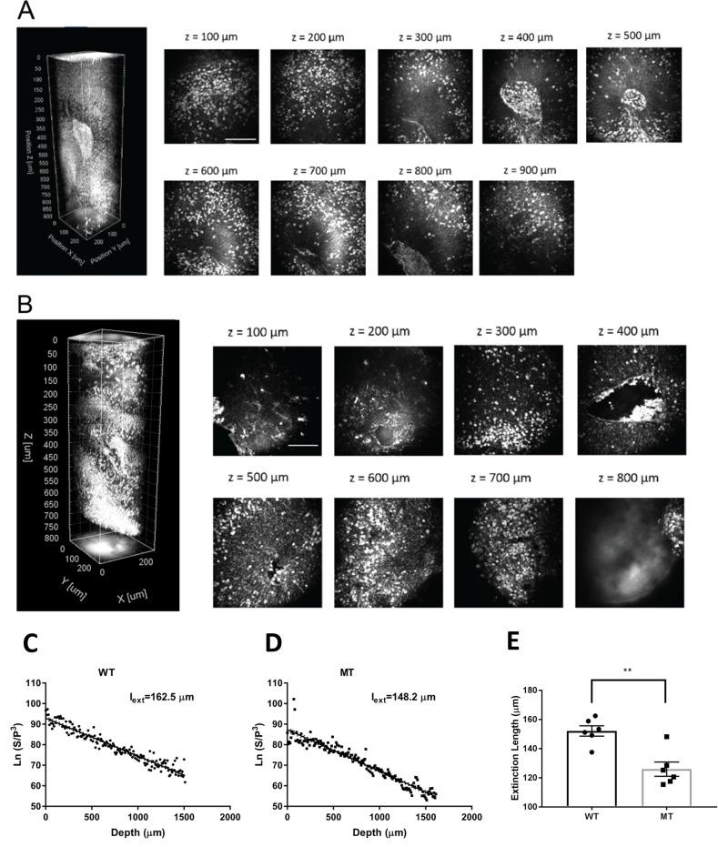 https://cdn.ncbi.nlm.nih.gov/pmc/blobs/0ef0/9337854/805f2aedf319/elife-78079-fig3.jpg
