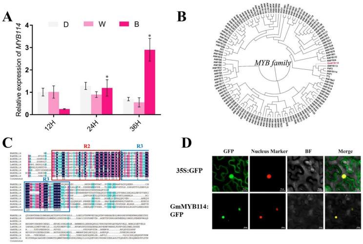 https://cdn.ncbi.nlm.nih.gov/pmc/blobs/0ef1/11055127/98896d038f52/plants-13-01107-g002.jpg