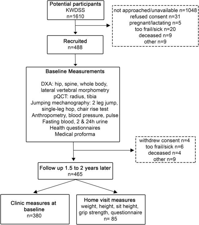 https://cdn.ncbi.nlm.nih.gov/pmc/blobs/0ef5/5583153/674ab217468f/fendo-08-00219-g002.jpg