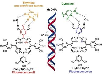 https://cdn.ncbi.nlm.nih.gov/pmc/blobs/0ef5/7383976/09e415b94d78/CBIC-21-1793-g012.jpg