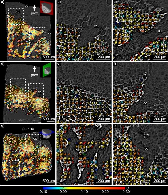 https://cdn.ncbi.nlm.nih.gov/pmc/blobs/0ef5/7835348/3b215d881521/41598_2020_80615_Fig3_HTML.jpg