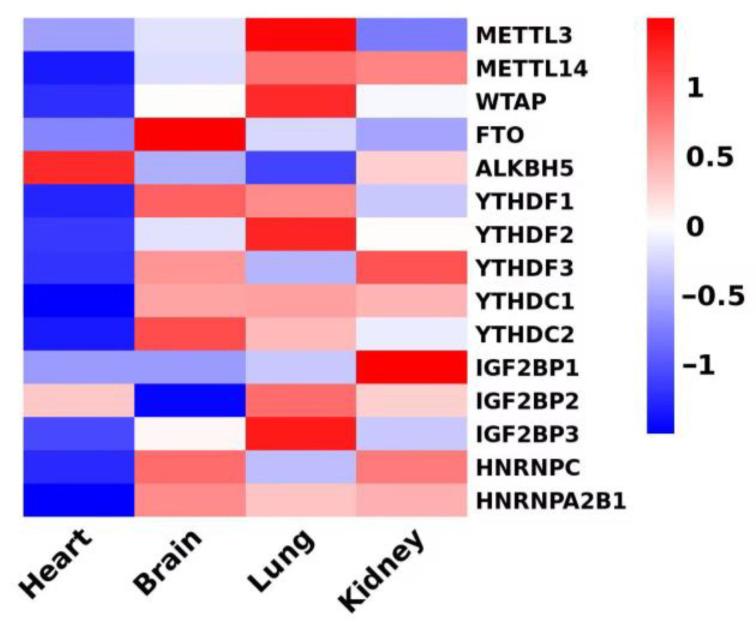https://cdn.ncbi.nlm.nih.gov/pmc/blobs/0ef7/11857502/6c3138ed2fa3/medicina-61-00222-g003.jpg