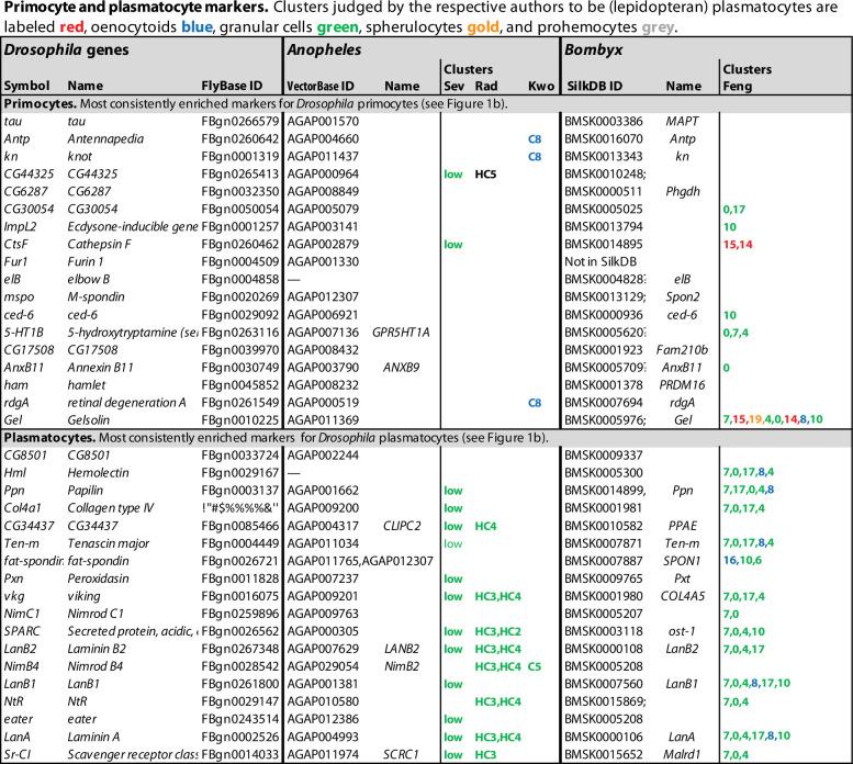 https://cdn.ncbi.nlm.nih.gov/pmc/blobs/0ef7/9348853/110a461d2cf0/elife-78906-fig9.jpg