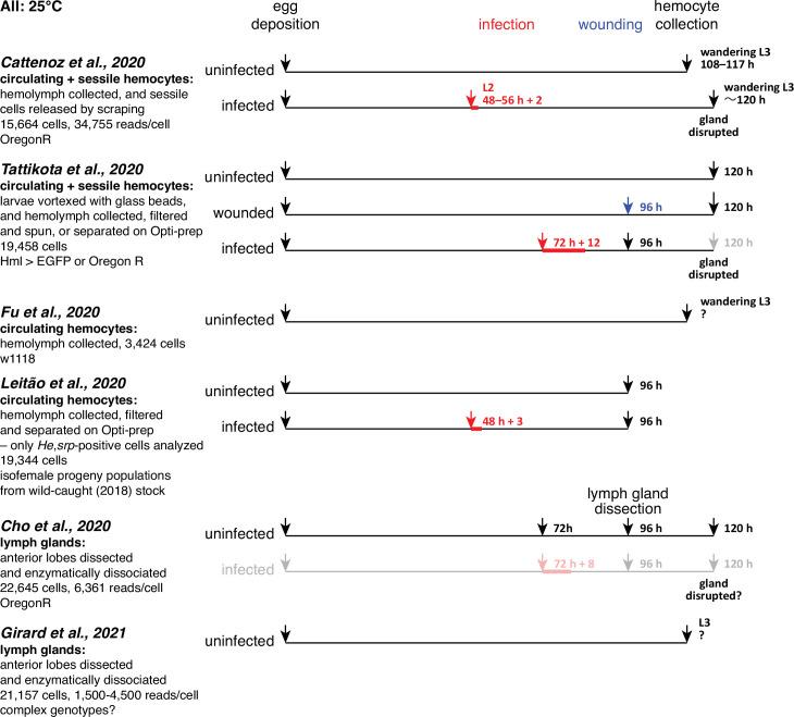 https://cdn.ncbi.nlm.nih.gov/pmc/blobs/0ef7/9348853/b1227c0254fb/elife-78906-fig1-figsupp1.jpg