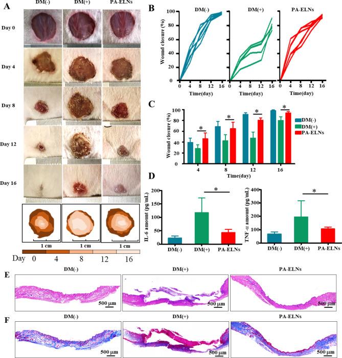 https://cdn.ncbi.nlm.nih.gov/pmc/blobs/0ef9/10214631/856e09ca12cd/12951_2023_1923_Fig6_HTML.jpg