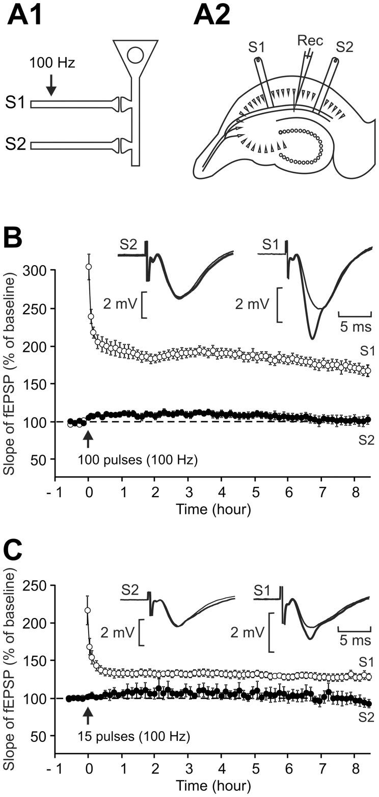 https://cdn.ncbi.nlm.nih.gov/pmc/blobs/0eff/3394721/e55dea9eb7aa/pone.0040823.g001.jpg
