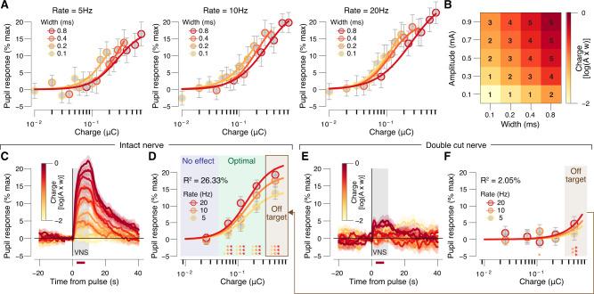 https://cdn.ncbi.nlm.nih.gov/pmc/blobs/0f00/7943774/2090a9e8a9f9/41467_2021_21730_Fig3_HTML.jpg