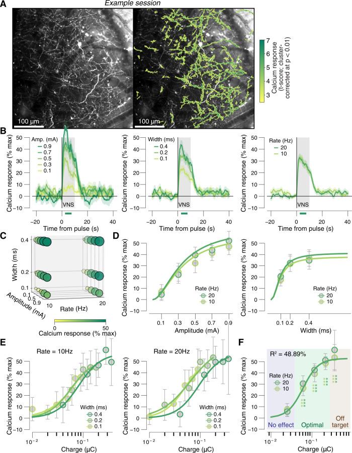 https://cdn.ncbi.nlm.nih.gov/pmc/blobs/0f00/7943774/33d20f82cb8f/41467_2021_21730_Fig4_HTML.jpg
