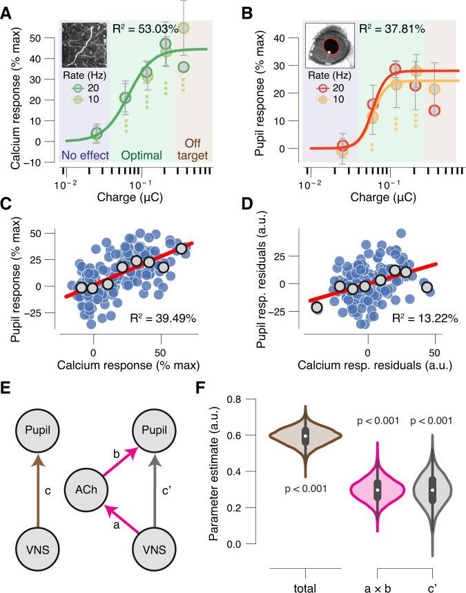 https://cdn.ncbi.nlm.nih.gov/pmc/blobs/0f00/7943774/b3e9490e9ee4/41467_2021_21730_Fig6_HTML.jpg