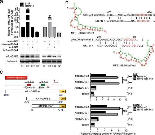 https://cdn.ncbi.nlm.nih.gov/pmc/blobs/0f01/4537006/f2a448045e3d/oncotarget-06-13164-g004.jpg