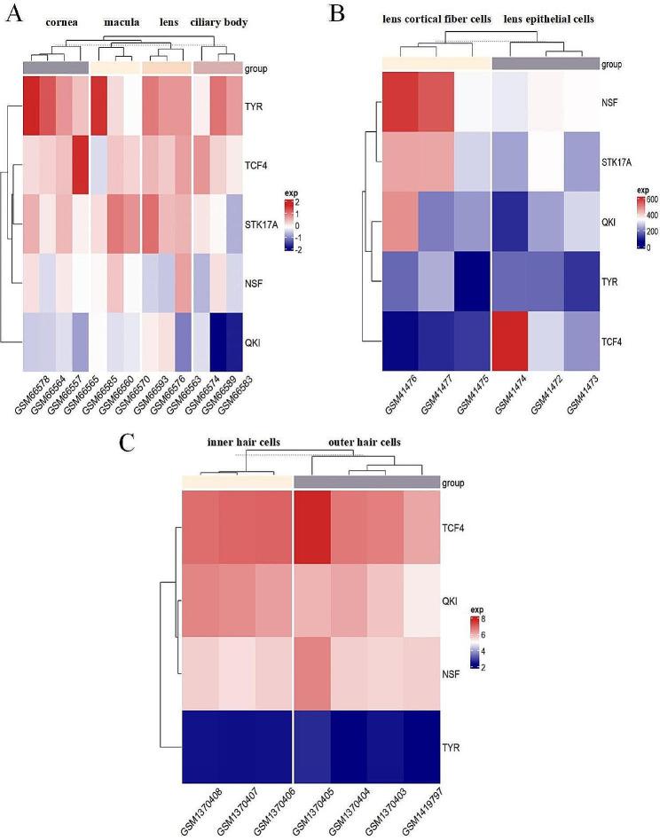 https://cdn.ncbi.nlm.nih.gov/pmc/blobs/0f02/11022469/9e4c7f353816/40246_2024_601_Fig2_HTML.jpg
