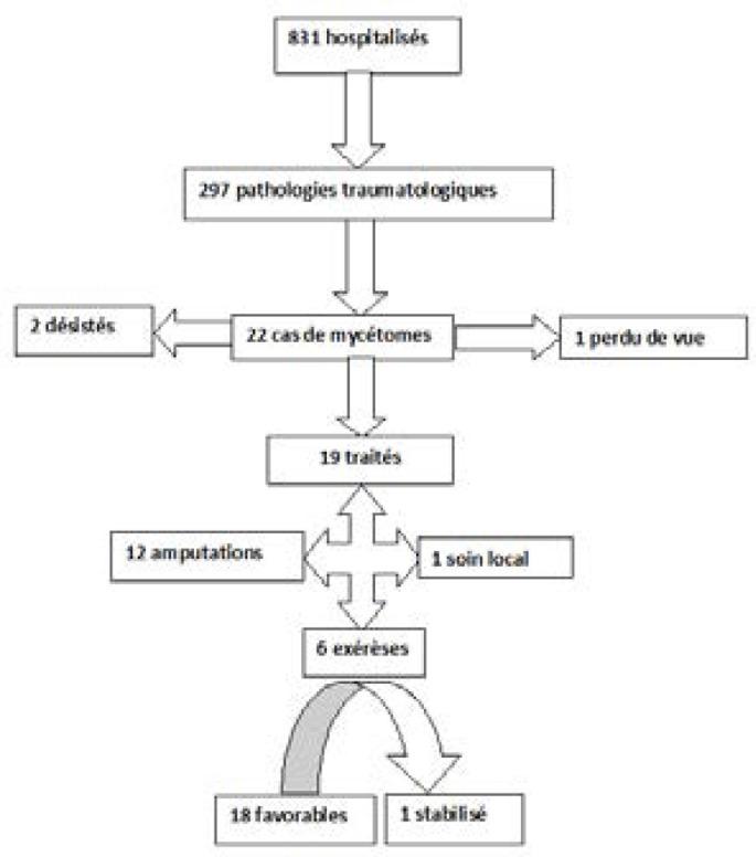 https://cdn.ncbi.nlm.nih.gov/pmc/blobs/0f02/9128469/880af7ad9bc5/mtsi-01-5206-g001.jpg
