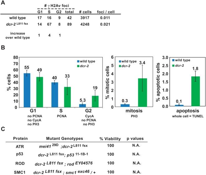 https://cdn.ncbi.nlm.nih.gov/pmc/blobs/0f03/2654965/3aa15f90a9f5/pgen.1000435.g007.jpg