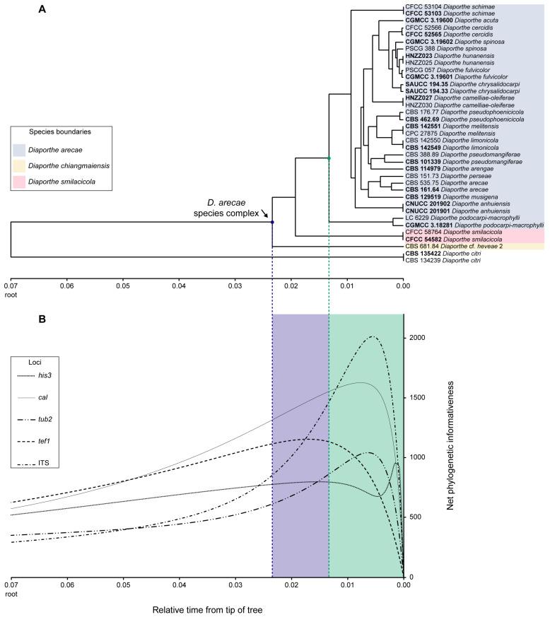 https://cdn.ncbi.nlm.nih.gov/pmc/blobs/0f04/10673533/edcac4d39dc1/microorganisms-11-02717-g003.jpg