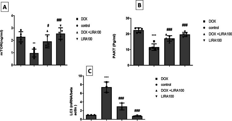 https://cdn.ncbi.nlm.nih.gov/pmc/blobs/0f05/10567954/3898c1890069/210_2023_2504_Fig8_HTML.jpg