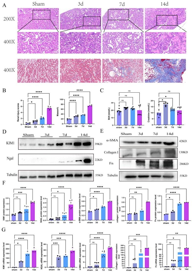 https://cdn.ncbi.nlm.nih.gov/pmc/blobs/0f06/11536639/59889011b862/IRNF_A_2415519_F0001_C.jpg