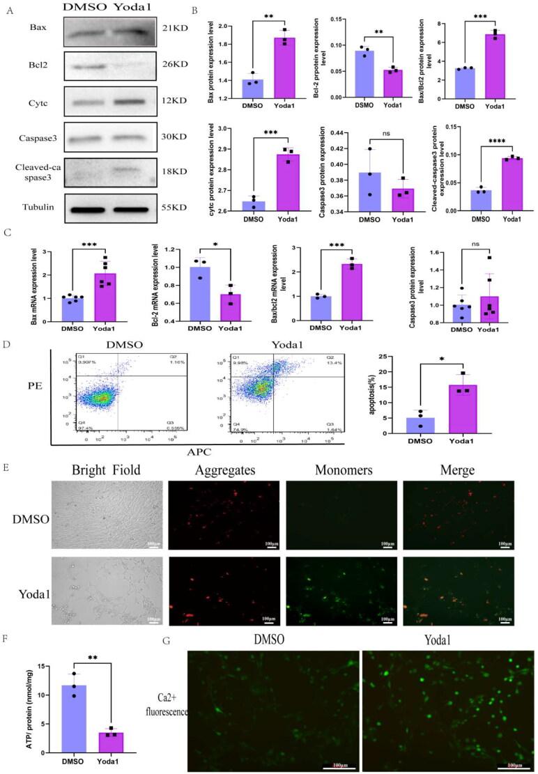 https://cdn.ncbi.nlm.nih.gov/pmc/blobs/0f06/11536639/8451393d77fd/IRNF_A_2415519_F0006_C.jpg