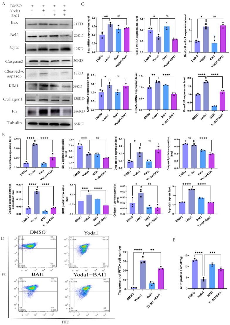 https://cdn.ncbi.nlm.nih.gov/pmc/blobs/0f06/11536639/8f89816db518/IRNF_A_2415519_F0007_C.jpg
