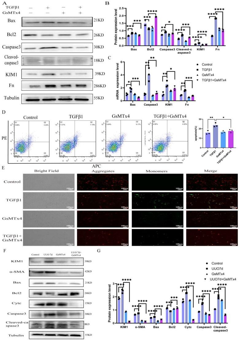 https://cdn.ncbi.nlm.nih.gov/pmc/blobs/0f06/11536639/a43bac92c564/IRNF_A_2415519_F0008_C.jpg
