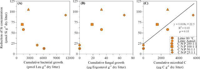 https://cdn.ncbi.nlm.nih.gov/pmc/blobs/0f06/4749722/0a2d4fe65909/fiw011fig6.jpg
