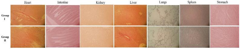 https://cdn.ncbi.nlm.nih.gov/pmc/blobs/0f06/8230576/be65d7f820cc/pharmaceuticals-14-00557-g008.jpg