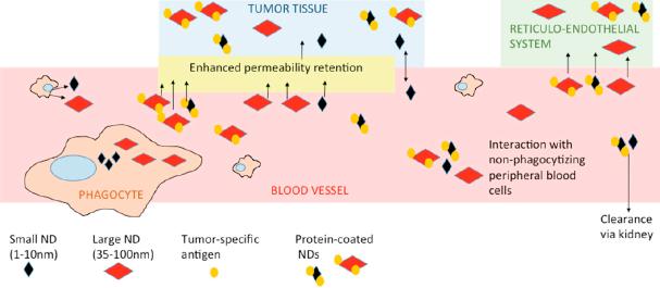 https://cdn.ncbi.nlm.nih.gov/pmc/blobs/0f06/8992557/666e18fcb5fb/cdr-3-854.fig.1.jpg