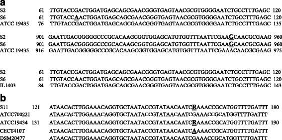 https://cdn.ncbi.nlm.nih.gov/pmc/blobs/0f0f/5312424/c912ce30279f/12866_2017_944_Fig3_HTML.jpg