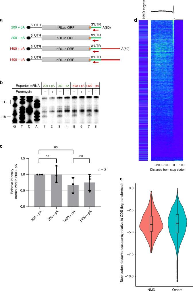 https://cdn.ncbi.nlm.nih.gov/pmc/blobs/0f0f/7431590/ae990d53c83a/41467_2020_17974_Fig5_HTML.jpg