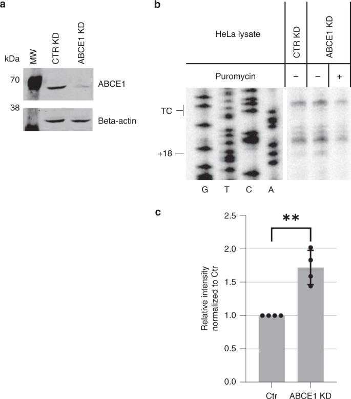 https://cdn.ncbi.nlm.nih.gov/pmc/blobs/0f0f/7431590/be606154f633/41467_2020_17974_Fig3_HTML.jpg