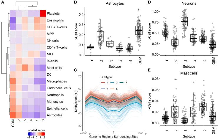 https://cdn.ncbi.nlm.nih.gov/pmc/blobs/0f0f/9017148/fad4ab8cff4e/gr7.jpg