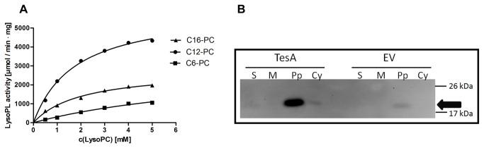 https://cdn.ncbi.nlm.nih.gov/pmc/blobs/0f10/3715468/86fa0561f900/pone.0069125.g001.jpg