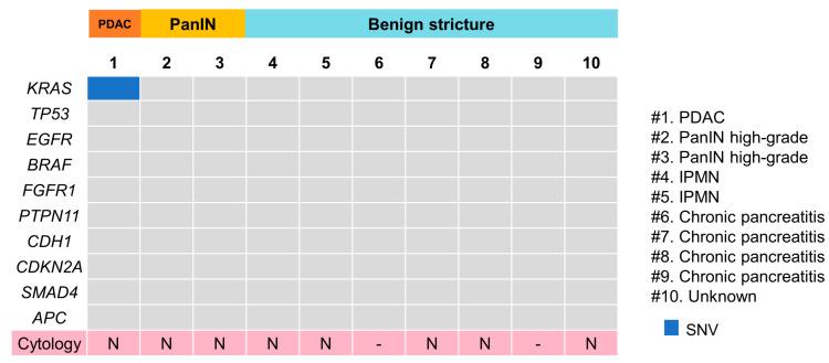 https://cdn.ncbi.nlm.nih.gov/pmc/blobs/0f10/9689036/999d8640d2ba/diagnostics-12-02704-g003.jpg