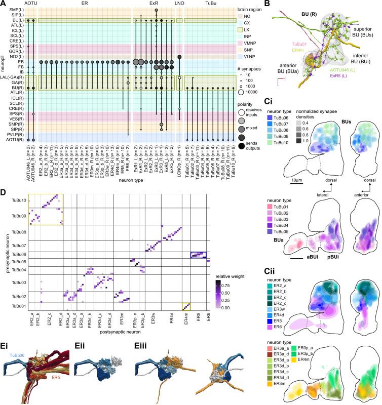 https://cdn.ncbi.nlm.nih.gov/pmc/blobs/0f12/9477501/0198aebe2311/elife-66039-fig7.jpg