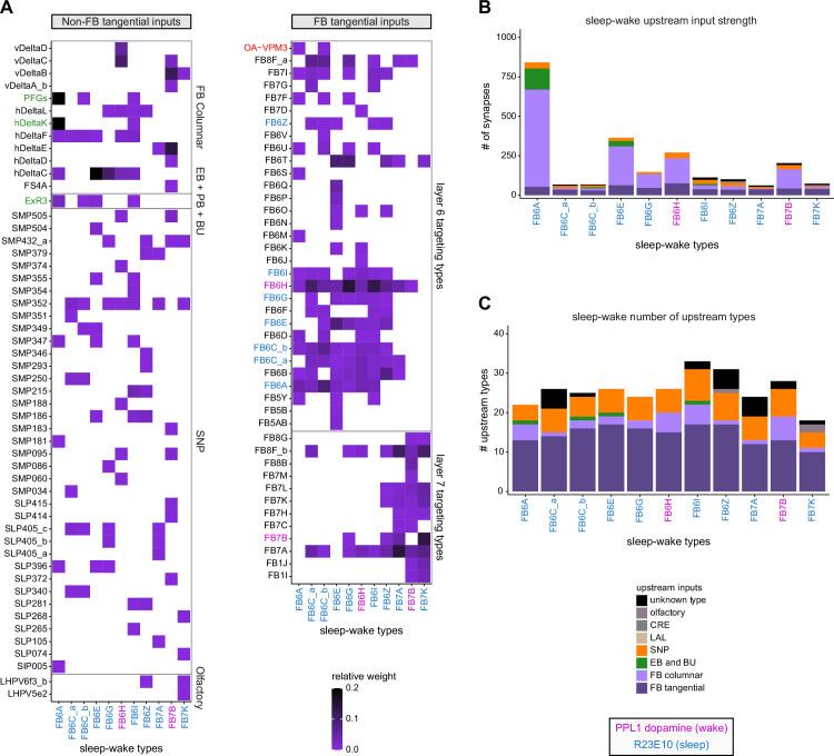 https://cdn.ncbi.nlm.nih.gov/pmc/blobs/0f12/9477501/10b1aa5d2b6b/elife-66039-fig52.jpg