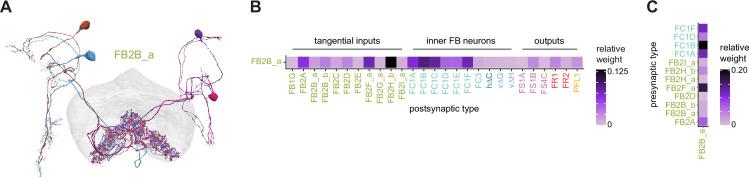 https://cdn.ncbi.nlm.nih.gov/pmc/blobs/0f12/9477501/2af06c746968/elife-66039-fig41.jpg